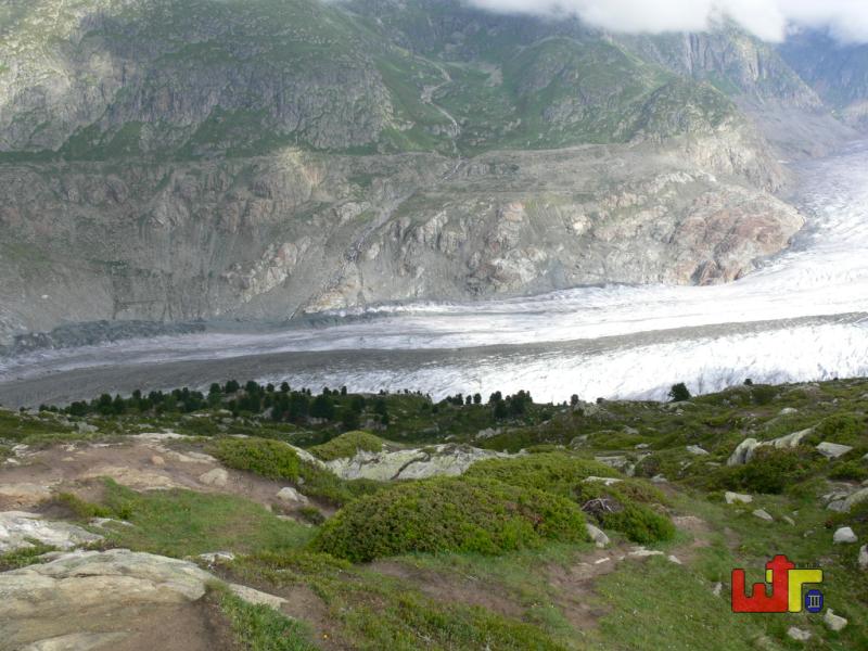 Aletschgletscher
