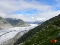 Aletschgletscher