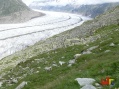 Aletschgletscher