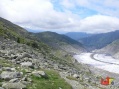 Aletschgletscher