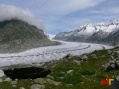 Aletschgletscher