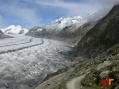 Aletschgletscher