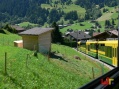 Grindelwald