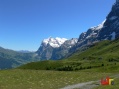 Tour Jungfraujoch